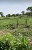 5 Acres Farmland for Sale in Pramkese - 2