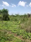 5 Acres Farmland for Sale in Pramkese - 4