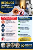 Professional Bedbug Fumigation Services - 1