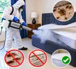 Professional Bedbug Fumigation Services - 2
