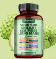 Sour Sop, Shilajit, Sea Moss, Lion's Mane - Energy & Brain Boost - 5