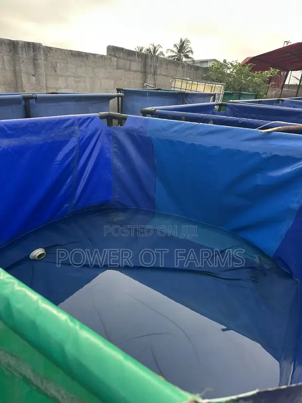 Tarpaulin Fish Tank Starter Package with Catfish Fingerlings - 1