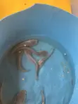 Tarpaulin Fish Tank Starter Package with Catfish Fingerlings - 2