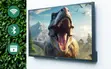 55" Waterproof Outdoor QLED Google TV - 4