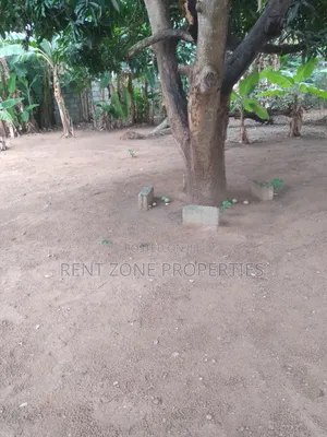 Service Land for Sale in Ofankor-Asofan