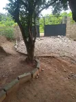 Service Land for Sale in Ofankor-Asofan - 3