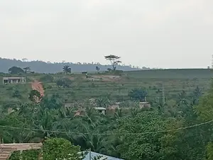 2 Plots Registered Land for Sale in Aburi, Pokrom