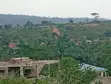 2 Plots Registered Land for Sale in Aburi, Pokrom - 2