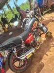 Royal Motorcycle 2025 Red - 2