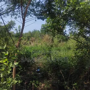 2 Plots of Land for Sale, Liberia Camp