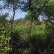 2 Plots of Land for Sale, Liberia Camp - 1