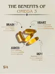 Triple Strength Omega 3 Fish Oil - 2