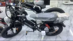 Wind Horse Electric Bike - 750W Motor
