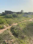 2 Plots for Sale in Ngleshie Amanfro (1 with Single Room) - 4