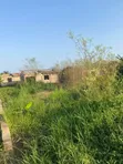 2 Plots for Sale in Ngleshie Amanfro (1 with Single Room) - 5