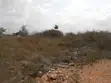 0.32 Acre Land for Sale in Amrahia Near Katamanso - 3