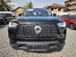 Great Wall Poer Deluxe 2022 Black - 2