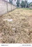 Well Demarcated Full Plain Plot of Land - 3