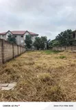 Well Demarcated Full Plain Plot of Land - 5