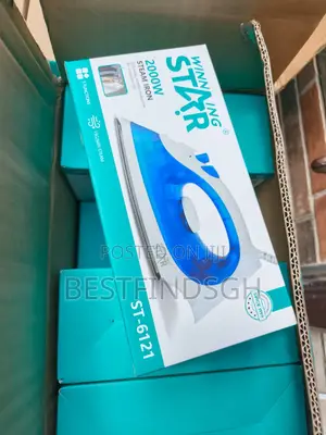 Winning Star 2000W Steam Iron
