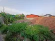 Spintex Road: Half Plot of Title Land for Sale - 4