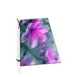 Sigma 43 Inch Smart Android TV Frameless - 2