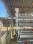 A-Type Chicken Cage (3 & 4 Tiers) - 2