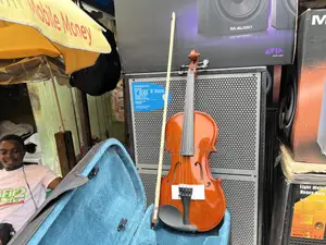 Brand New Acoustic Violin Set