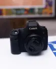 Canon 6D with 50mm Micro Lens - 2