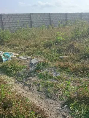 Half Plot of Land for Sale in Borteyman, Accra