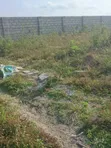 Half Plot of Land for Sale in Borteyman, Accra - 1