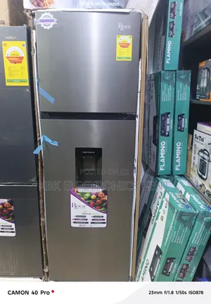 Roch 250L Double Door Refrigerator Top Freezer