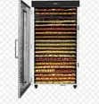 24 Tray Dehydrator - Brand New - 2