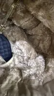 Brand New Utility Winter Jackets - 1