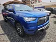 Great Wall Poer Premium 2022 Blue - 3
