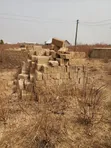 Plots of Land with Duplex Foundation for Sale in Tamale - 4
