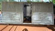 Modern Black Steel Gate with Decorative Design - 4