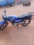 Royal RY150 2024 Blue - 3
