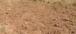 Appolonia City: Walled Plot with 2-Bedroom Storey Foundation - 2