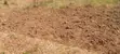 Appolonia City: Walled Plot with 2-Bedroom Storey Foundation - 3