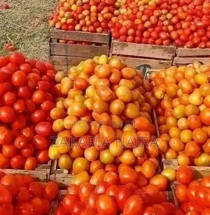 Rice, Tomato, and Ginger for Sale
