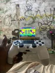 PlayStation 4 Slim - Used - 2