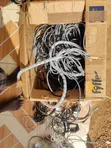 CAT6 Ethernet LAN Network Cable - 2