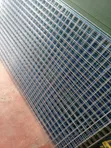 2x2 Inch Wire Mesh - 8x4 ft - 1