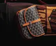 Goyard Shoulder Bag - 2