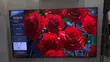 Samsung 75-inch QLED TV (Used, from UK) - 2
