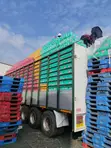 43 Ton Heavy Duty Cargo Truck - 3 Months Usage - 2