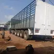 43 Ton Heavy Duty Cargo Truck - 3 Months Usage - 4