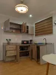 Furnished 1-Bedroom Apartment for Rent in East Legon - 4
